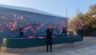 灵山宝塔陵园2025年年度服务报告