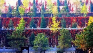 清明寄哀思 灵山宝塔佑归人——燕郊灵山宝塔、三河灵山宝塔陵园守护每份牵挂