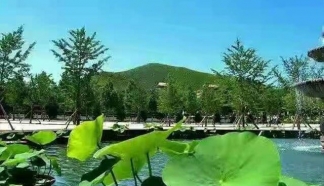 一站式安葬解决方案｜灵山宝塔陵园多元葬式，满足各类需求