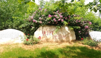 灵山宝塔陵园看墓一日游全攻略：北京周边高性价比福地探访指南