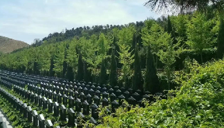 植树祭扫逐步普及!灵山宝塔陵园大力推广绿色祭扫
