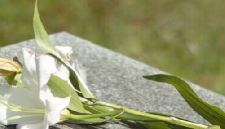 传承孝道文化，点亮生命教育｜灵山宝塔陵园打造京津冀人文纪念地标