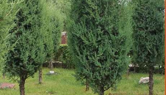 燕郊灵山宝塔：六大生态葬引领绿色殡葬，北京周边高性价比风水墓地之选